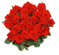 ����� ����� ����� ���� ���