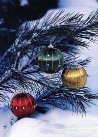 ����� � ������