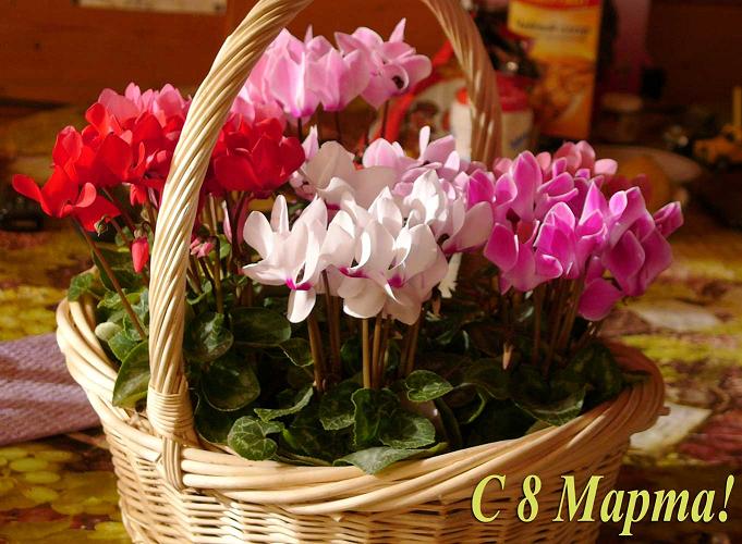 ����� � �������� � 8 �����