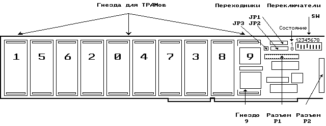 ����� ��� ����� B008